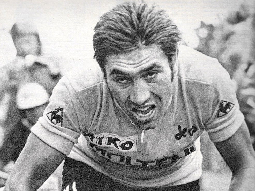 Eddy Merckx - The Cannibal - Pedal Pedlar